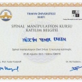 Resmi büyüt: certificate 4