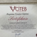 Resmi büyüt: certificate 12