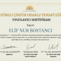 Resmi büyüt: certificate 12