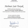 Resmi büyüt: certificate 1