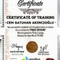 Resmi büyüt: certificate 2