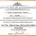 Resmi büyüt: certificate 8