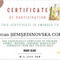 Resmi büyüt: certificate 8