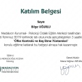 Resmi büyüt: certificate 20