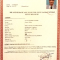 Resmi büyüt: certificate 1
