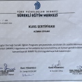 Resmi büyüt: certificate 5