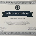 Resmi büyüt: certificate 3