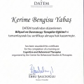 Resmi büyüt: certificate 1