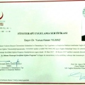 Resmi büyüt: certificate 3