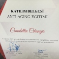 Resmi büyüt: certificate 11