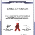 Resmi büyüt: certificate 14