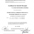 Resmi büyüt: certificate 1