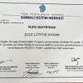 Resmi büyüt: certificate 3