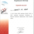 Resmi büyüt: certificate 72