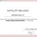 Resmi büyüt: certificate 2