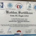 Resmi büyüt: certificate 21