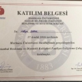 Resmi büyüt: certificate 6