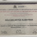 Resmi büyüt: certificate 3