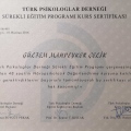 Resmi büyüt: certificate 4