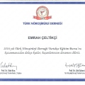 Resmi büyüt: certificate 5