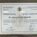 Resmi büyüt: certificate 3