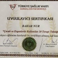 Resmi büyüt: certificate 7