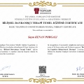 Resmi büyüt: certificate 9