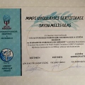 Resmi büyüt: certificate 7