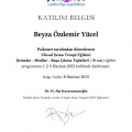 Resmi büyüt: certificate 1