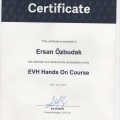 Resmi büyüt: certificate 2