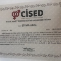 Resmi büyüt: certificate 16