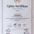 Resmi büyüt: certificate 16