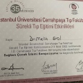 Resmi büyüt: certificate 36