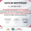 Resmi büyüt: certificate 3
