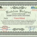 Resmi büyüt: certificate 2