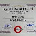 Resmi büyüt: certificate 32