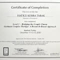 Resmi büyüt: certificate 2
