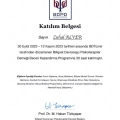 Resmi büyüt: certificate 3