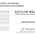 Resmi büyüt: certificate 15