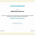 Resmi büyüt: certificate 10