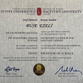 Resmi büyüt: certificate 1