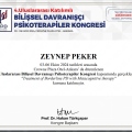 Resmi büyüt: certificate 7