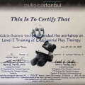 Resmi büyüt: certificate 9