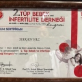 Resmi büyüt: certificate 62