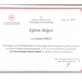 Resmi büyüt: certificate 3
