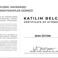 Resmi büyüt: certificate 4