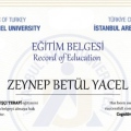 Resmi büyüt: certificate 1