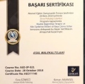 Resmi büyüt: certificate 6