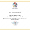 Resmi büyüt: certificate 10