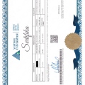 Resmi büyüt: certificate 3